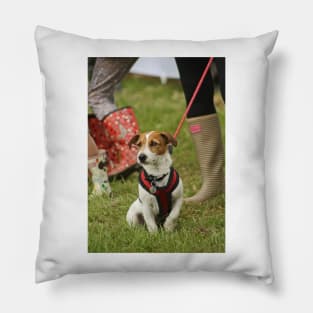 Jack Russell Terrier Pillow