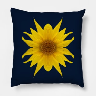 Spiky Yellow Flower Pillow