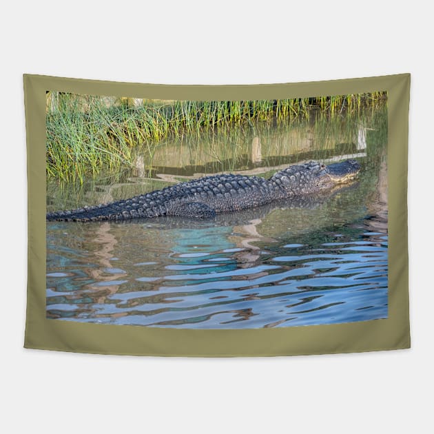 Big Padre Alligator Tapestry by Debra Martz