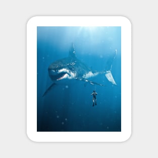 Diving with the Megalodon Magnet