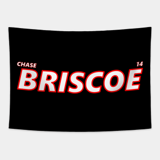 CHASE BRISCOE 2023 Tapestry