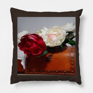 Jewellery chest Pillow