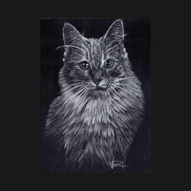 Turkish Angora Cat by VeriArt