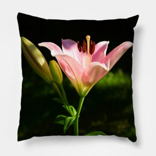 Pink Scented Lily under the apple tree. Pillow