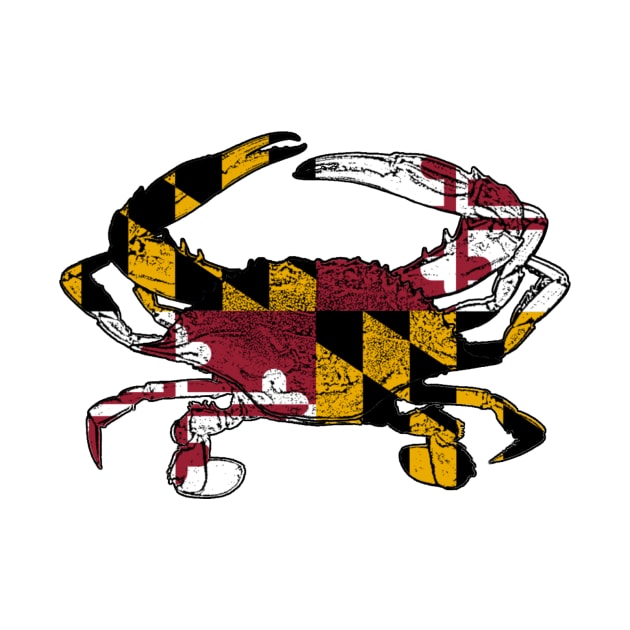 Maryland Flag Crab by CrustaceanFrustration