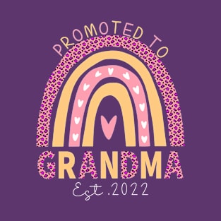 Promoted To Grandma Est 2022 Leopard Rainbow Pregnancy Announcement T-Shirt
