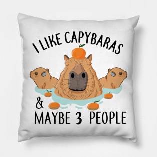 I like Capybaras and maybe 3 people Funny Baby Capybara Pillow