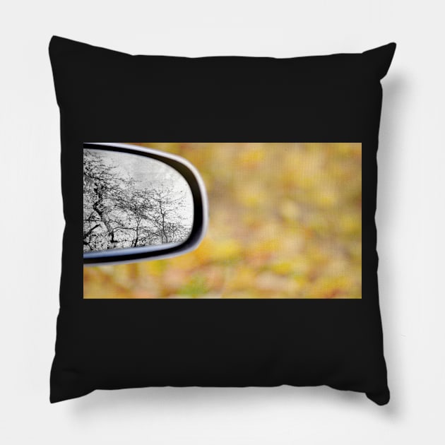 All the leaves have fallen... Pillow by LaurieMinor