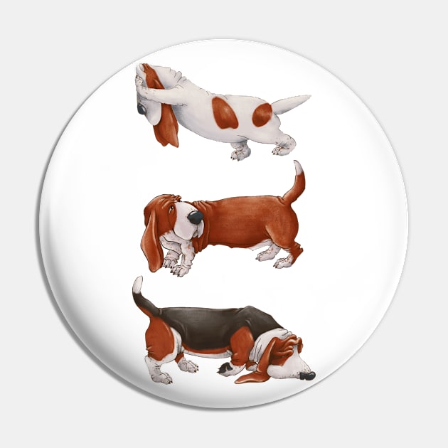 Cute Basset Hound. Funny dogs. Pin by kacia