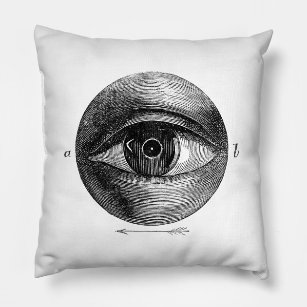 Eye of the Beholder Pillow by Novis Imaginibus