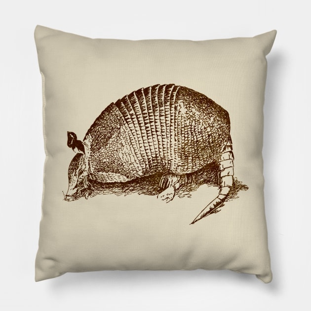 Armadillo Pillow by DarlaHallmark