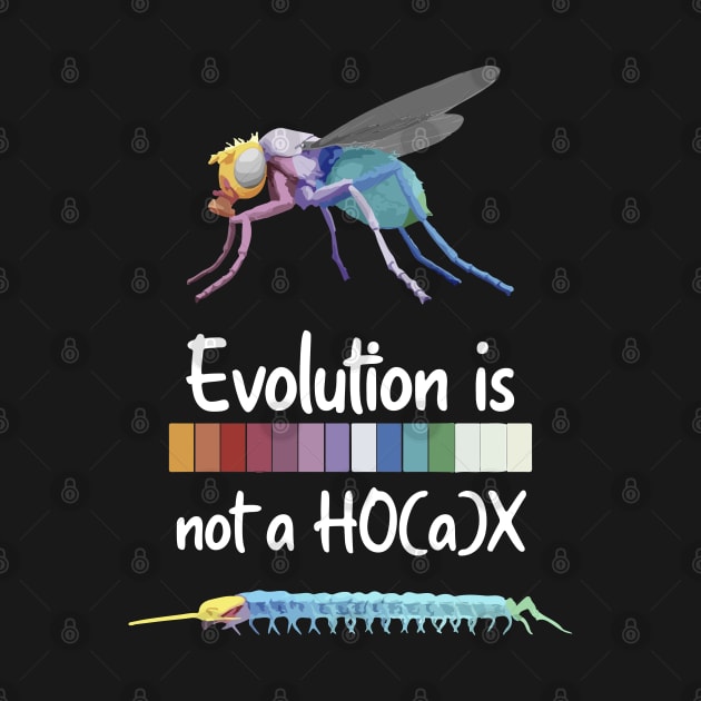 Evolution is not a hoax Hox Genes Similarities Housefly and centipede by labstud