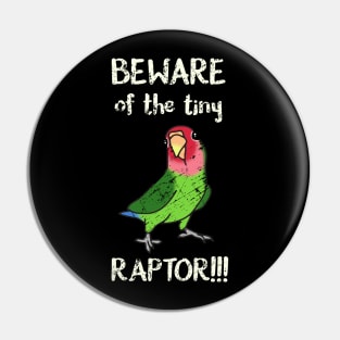 Beware of the tiny Raptor Green Lovebird Rosy faced Pin