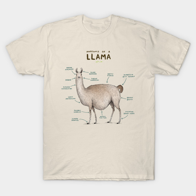 llama shirt