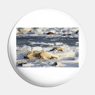 Polar Bear Mother & Cub Grooming Pin