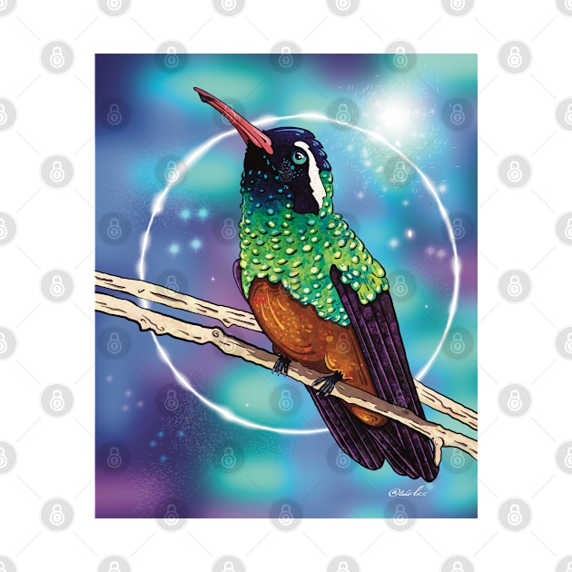 Xantu’s hummingbird by RoseDesigns1995