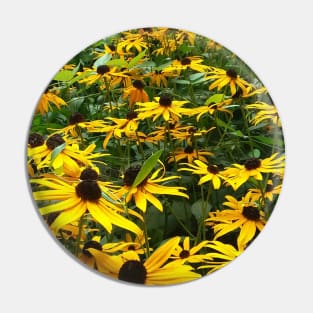 Black eyed Susans Pin