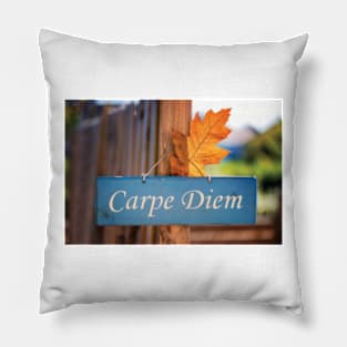 Welcoming Fall In The Carpe Diem Pillow