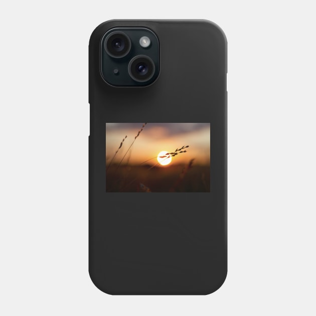 Sunset on a Summer meadow Phone Case by heidiannemorris