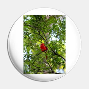 Perched Cardinal Pin