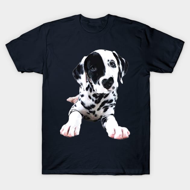 Dalmatian Shirt Dog Shirt Puppy Shirt Dog Lover Gift Cute 