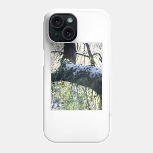 Forest Sun Rays in the Snow #39 Phone Case