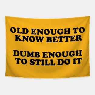 Old Enough To Know Better Dumb Enought To Still Do It Tapestry