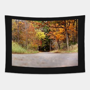 Autumn Tree Tunnel Tapestry