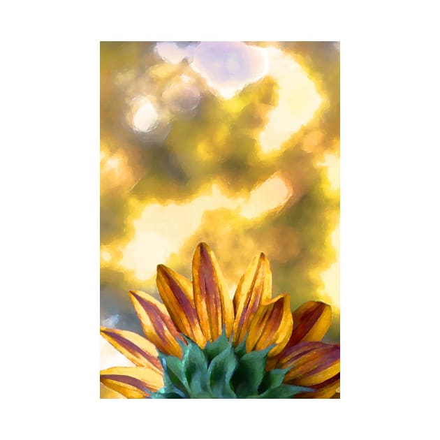 Sunflower 23 by secretgardener