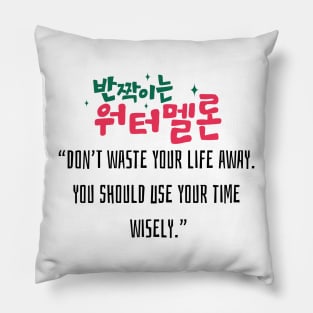 Twinkling Watermelon Korean Drama Pillow