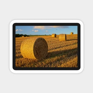 Autumn Haybales Magnet