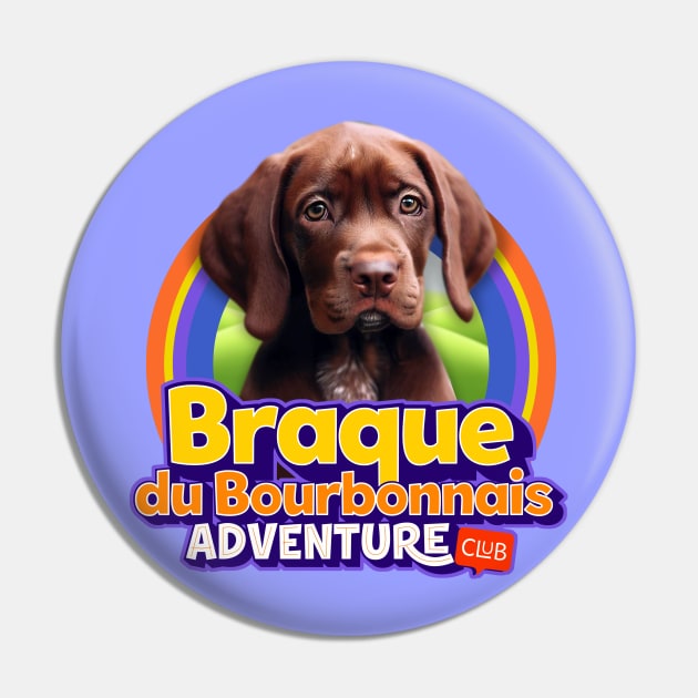 Braque du Bourbonnais Pin by Puppy & cute