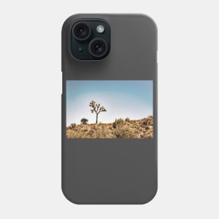 Joshua Tree National Park, California Phone Case