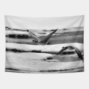 Geese coming in for a landing in black and white Tapestry