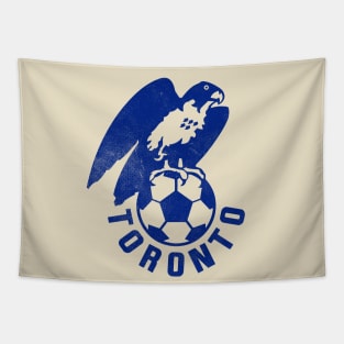 Defunct - Toronto City Soccer Tapestry