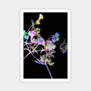 Colourful Florals III Magnet