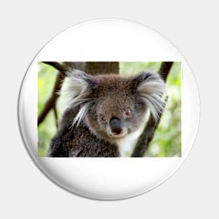 Koala Portrait Pin