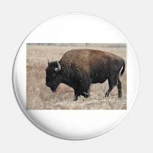 Bison Pin