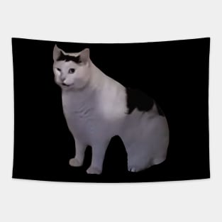 Huh Cat Meme Tapestry