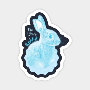 Water Blue Rabbit Magnet