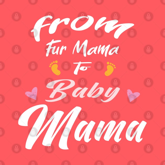 from Fur Mama to Baby Mama by designnas2