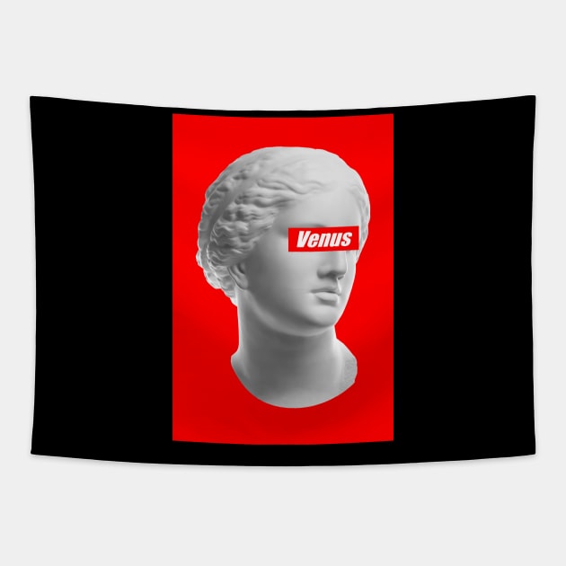 Venus Vaporwave GRLPWR Fem Party Techno Protest Tapestry by Maggini Art