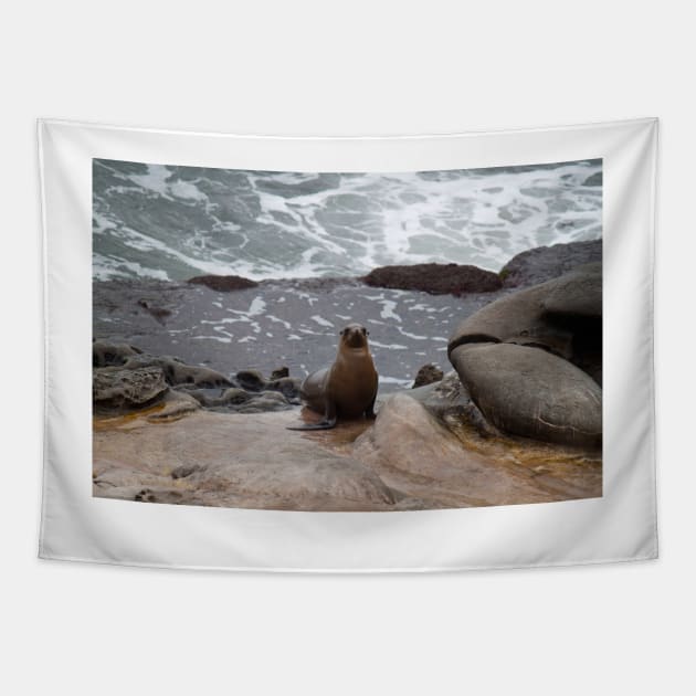 Sea Lion Love Tapestry by Jacquelie