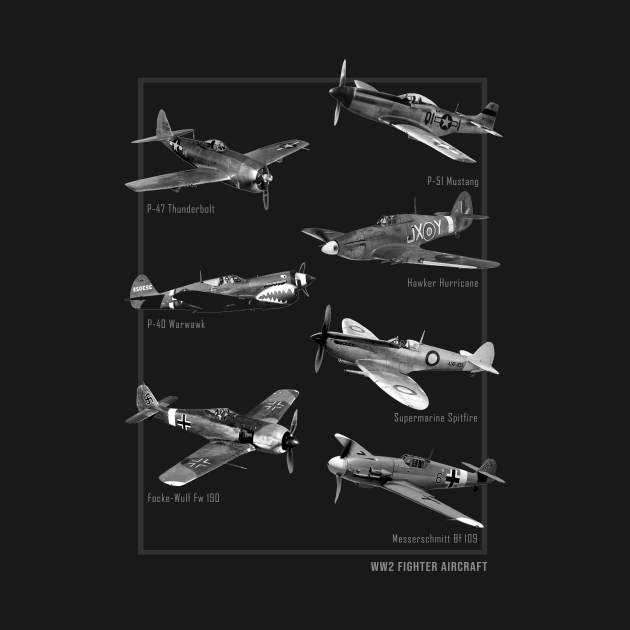 Disover WW2 Fighter Aircraft Warbirds - Warbirds - T-Shirt