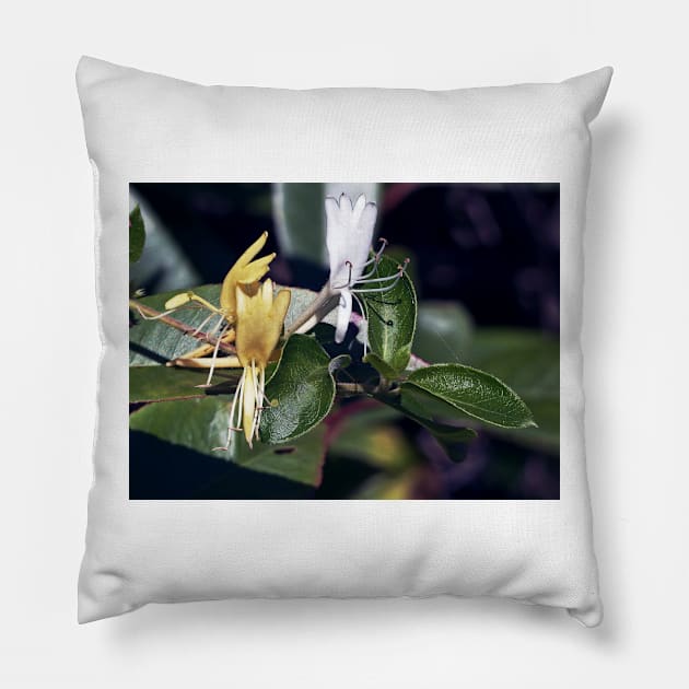 LE PANASONIC FZ 200 PAR OKAIO CRÉATION Pillow by caillaudolivier