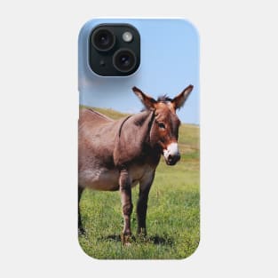 Donkey Photo Phone Case