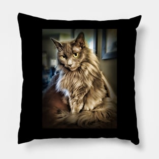 Grey Green Eyed Beauty Pillow