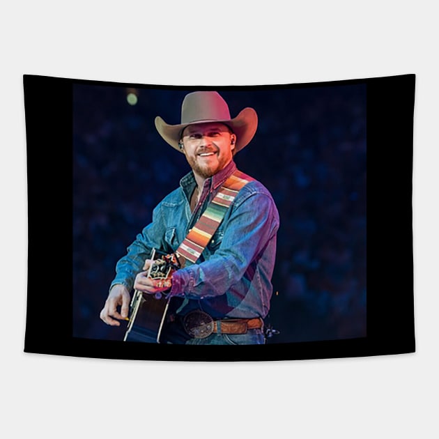 Cody Johnson concert music Tapestry by gingerbread37