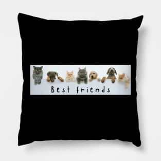 cats and dogs Pillow