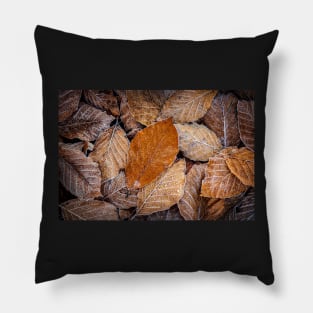 Frosty Beech Leaves Pillow